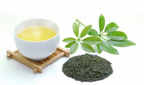 夏に受けた紫外線は緑茶でリセット！マルチな効果で健康に！